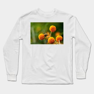 Busy bee on buddleia Long Sleeve T-Shirt